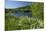 Germany, Weser Hills, Lower Saxony, Heinsen, Lake, Bath Bay, Shore, Marguerites-Chris Seba-Mounted Premium Photographic Print