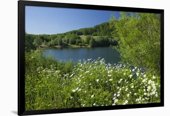 Germany, Weser Hills, Lower Saxony, Heinsen, Lake, Bath Bay, Shore, Marguerites-Chris Seba-Framed Photographic Print