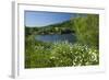 Germany, Weser Hills, Lower Saxony, Heinsen, Lake, Bath Bay, Shore, Marguerites-Chris Seba-Framed Photographic Print