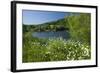 Germany, Weser Hills, Lower Saxony, Heinsen, Lake, Bath Bay, Shore, Marguerites-Chris Seba-Framed Photographic Print