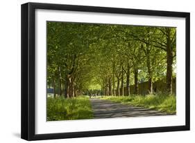 Germany, Weser Hills, North Rhine-Westphalia, Hšxter, Imperial Abbey of Corvey-Chris Seba-Framed Photographic Print