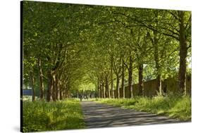 Germany, Weser Hills, North Rhine-Westphalia, Hšxter, Imperial Abbey of Corvey-Chris Seba-Stretched Canvas