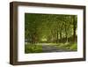 Germany, Weser Hills, North Rhine-Westphalia, Hšxter, Imperial Abbey of Corvey-Chris Seba-Framed Photographic Print