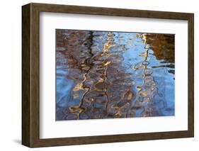 Germany, Wiesbaden, Bowling Green, Reflection-Catharina Lux-Framed Photographic Print