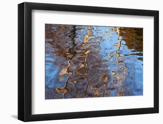 Germany, Wiesbaden, Bowling Green, Reflection-Catharina Lux-Framed Photographic Print