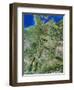 Germany-PLANETOBSERVER-Framed Premium Photographic Print