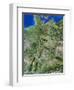 Germany-PLANETOBSERVER-Framed Premium Photographic Print