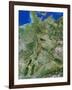 Germany-PLANETOBSERVER-Framed Photographic Print