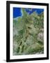 Germany-PLANETOBSERVER-Framed Photographic Print