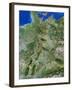 Germany-PLANETOBSERVER-Framed Photographic Print