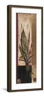 Germination I-Rosa Solano-Framed Giclee Print