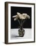 Gerneras, 2010-James Gillick-Framed Giclee Print