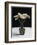 Gerneras, 2010-James Gillick-Framed Giclee Print