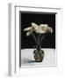 Gerneras, 2010-James Gillick-Framed Giclee Print