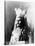 Geronimo (1829-1909)-Warren Mack Oliver-Stretched Canvas