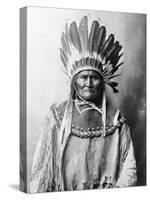 Geronimo (1829-1909)-Aaron Canady-Stretched Canvas