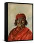 Geronimo-W.J. Ryan-Framed Stretched Canvas