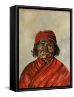 Geronimo-W.J. Ryan-Framed Stretched Canvas