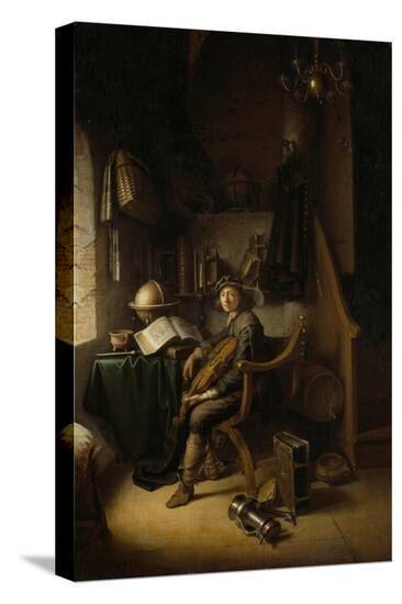 Stretched Canvas Print, , large