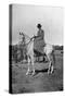 Gertrude Bell on Horseback - Baghdad, Iraq-null-Stretched Canvas