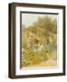 Gertrude Jekyll's Garden, Munstead Wood-Helen Allingham-Framed Giclee Print