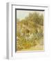 Gertrude Jekyll's Garden, Munstead Wood-Helen Allingham-Framed Giclee Print