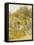 Gertrude Jekyll's Garden, Munstead Wood-Helen Allingham-Framed Stretched Canvas