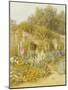 Gertrude Jekyll's Garden, Munstead Wood-Helen Allingham-Mounted Giclee Print