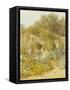 Gertrude Jekyll's Garden, Munstead Wood-Helen Allingham-Framed Stretched Canvas