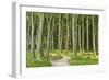 Gespensterwald (Ghost Forest) Near Nienhagen, Baltic Sea, Mecklenburg-Vorpommern, Germany, Europe-Jochen Schlenker-Framed Photographic Print