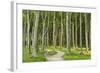 Gespensterwald (Ghost Forest) Near Nienhagen, Baltic Sea, Mecklenburg-Vorpommern, Germany, Europe-Jochen Schlenker-Framed Photographic Print