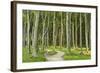 Gespensterwald (Ghost Forest) Near Nienhagen, Baltic Sea, Mecklenburg-Vorpommern, Germany, Europe-Jochen Schlenker-Framed Photographic Print