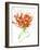 Gestural Florals 13-Paul Ngo-Framed Giclee Print