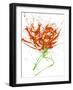 Gestural Florals 13-Paul Ngo-Framed Premium Giclee Print