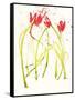 Gestural Florals 5-Paul Ngo-Framed Stretched Canvas