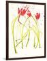 Gestural Florals 5-Paul Ngo-Framed Giclee Print