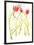 Gestural Florals 5-Paul Ngo-Framed Giclee Print