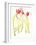 Gestural Florals 5-Paul Ngo-Framed Giclee Print