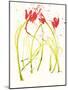 Gestural Florals 5-Paul Ngo-Mounted Giclee Print