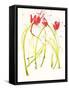 Gestural Florals 5-Paul Ngo-Framed Stretched Canvas