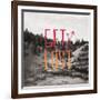 Get Lost Yellowstone II-Leah Flores-Framed Art Print