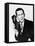 Get Smart-TV, 1965-null-Framed Stretched Canvas