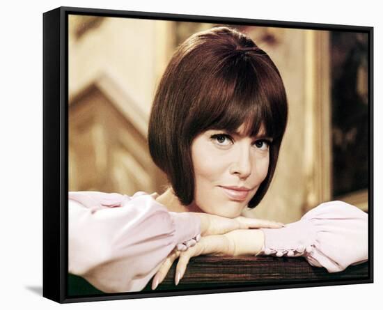 Get Smart-null-Framed Stretched Canvas