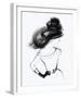 Get the Look-Eva Hjelte-Framed Giclee Print