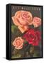 Get Well Soon, Roses-null-Framed Stretched Canvas