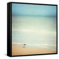 Get Your Feet Wet-Carolyn Cochrane-Framed Stretched Canvas