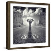 Get Your Tricks-Luis Beltran-Framed Photographic Print