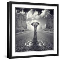 Get Your Tricks-Luis Beltran-Framed Photographic Print