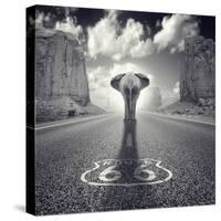 Get Your Tricks-Luis Beltran-Stretched Canvas