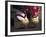 Geta Shoes, Japan-null-Framed Photographic Print